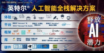 深化创新合作 英特尔加速人工智能应用软件开发新进程